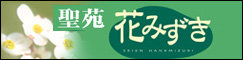 聖苑花みずき