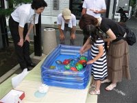 20060708segakihoyo12.jpg