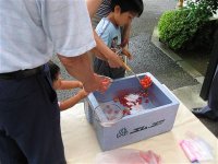 20060708segakihoyo13.jpg