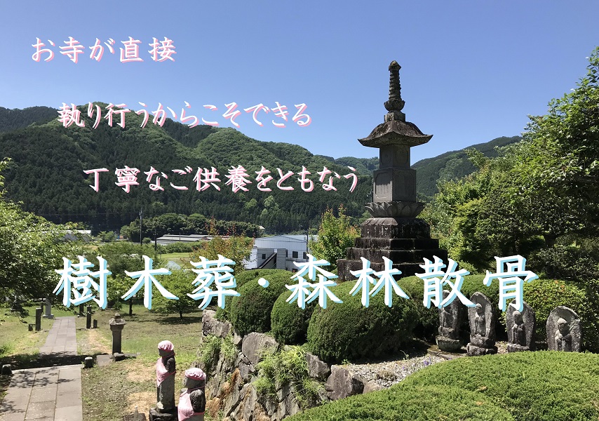 関東　散骨　山