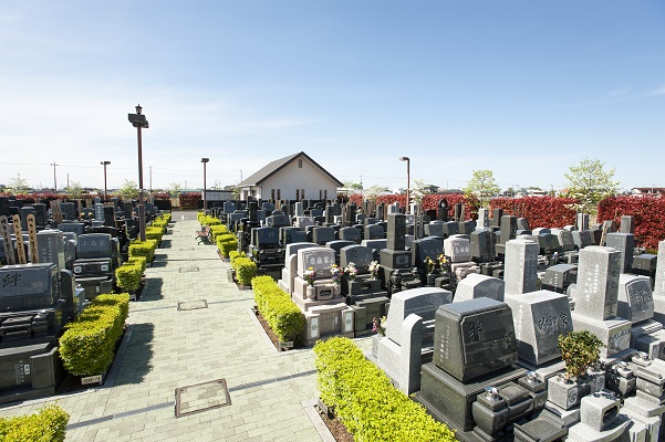 宝性寺越谷別院 墓地 花みずき