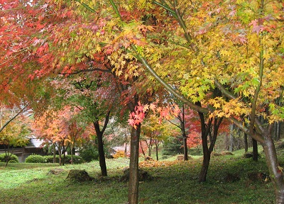 山への散骨 関東