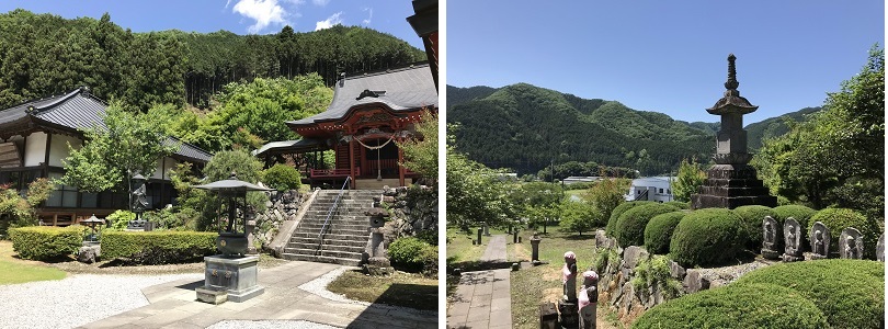 散骨 山、樹木葬、自然葬